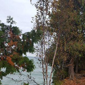 Meet your Posher, Sandy